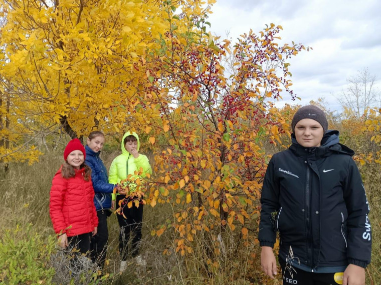 В 5 классе МБОУ "Петуховская СОШ имени С.А. Чиганова" прошла экскурсия.