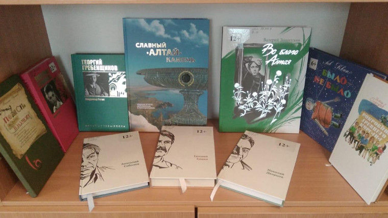 День школьных библиотек в МБОУ "Петуховская СОШ имени С.А. Чиганова".